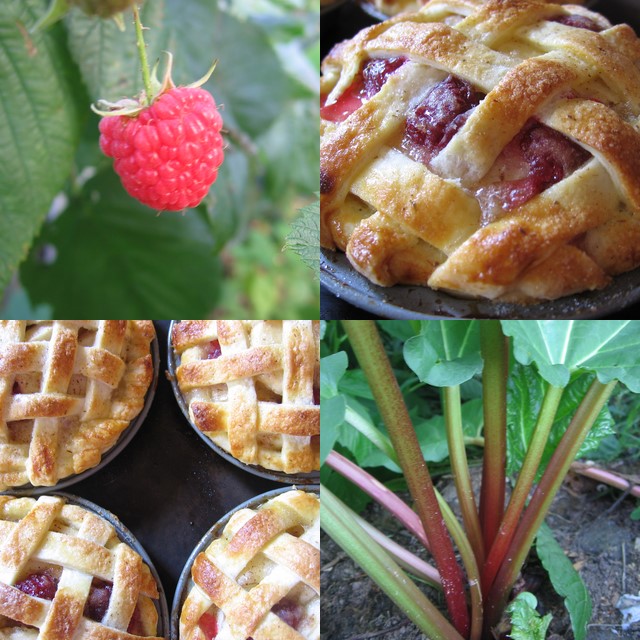 Thankful for…Raspberry Rhubarb Pie and More