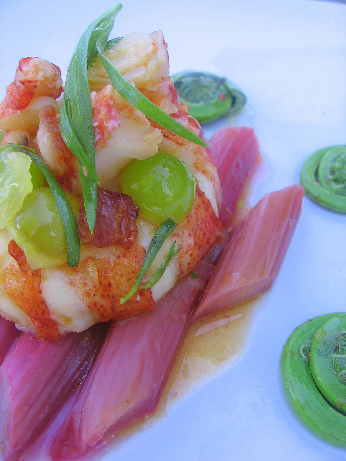 WFD? Warm Lobster Salad with Rhubarb, Fiddleheads, and Bacon