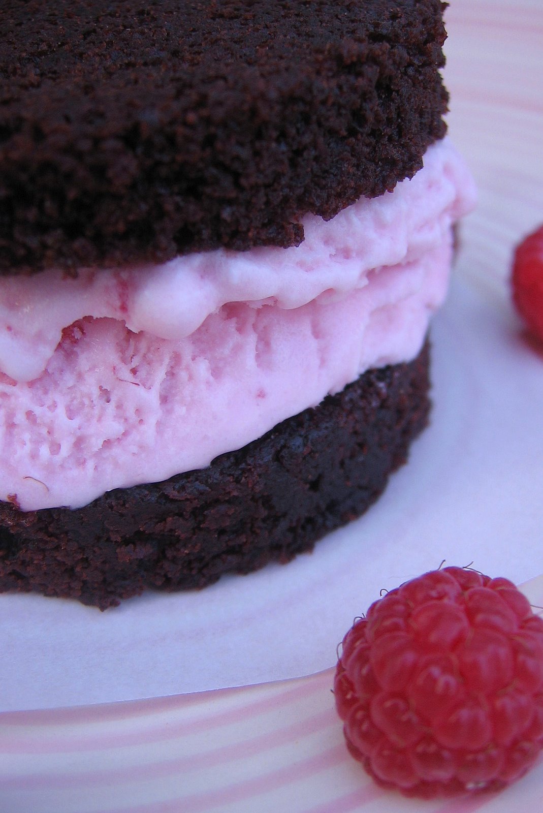 Chocolate-Raspberry Ice Cream Sandwiches