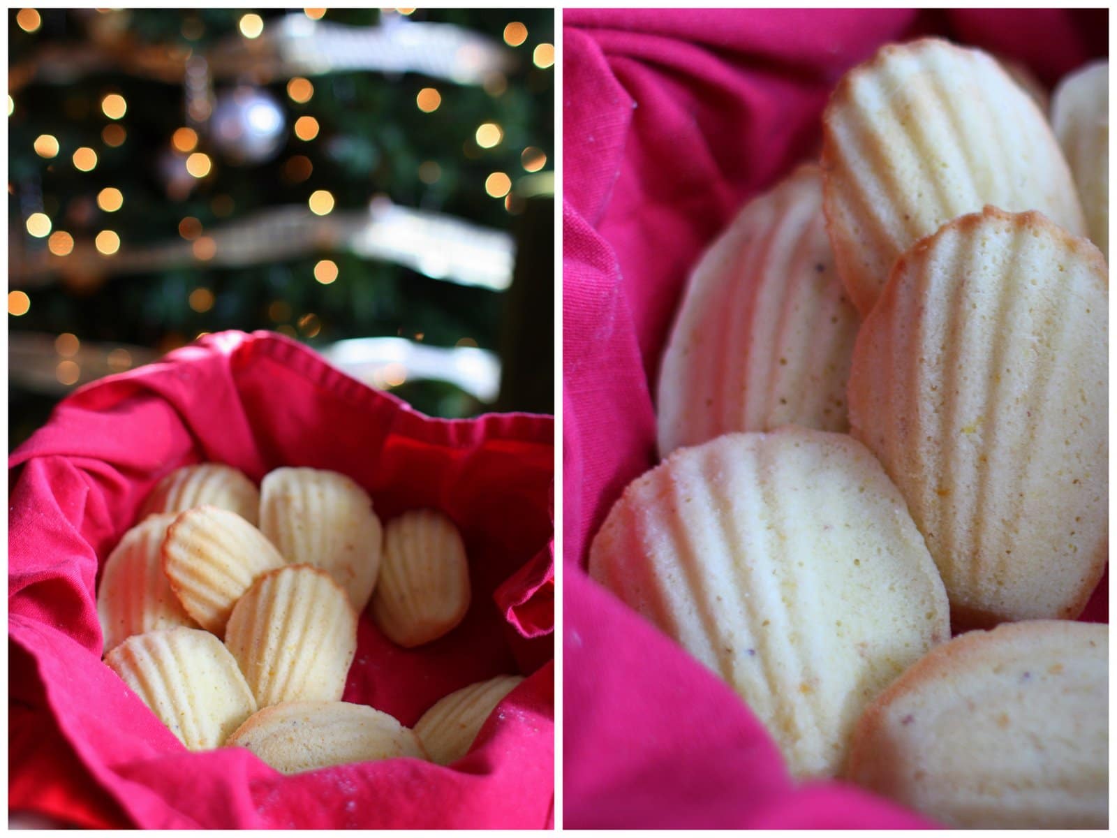 Orange Madeleines and a Holiday Relapse Recap