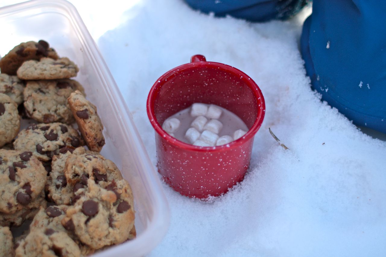 Snow Picnic Cookies at Your Request