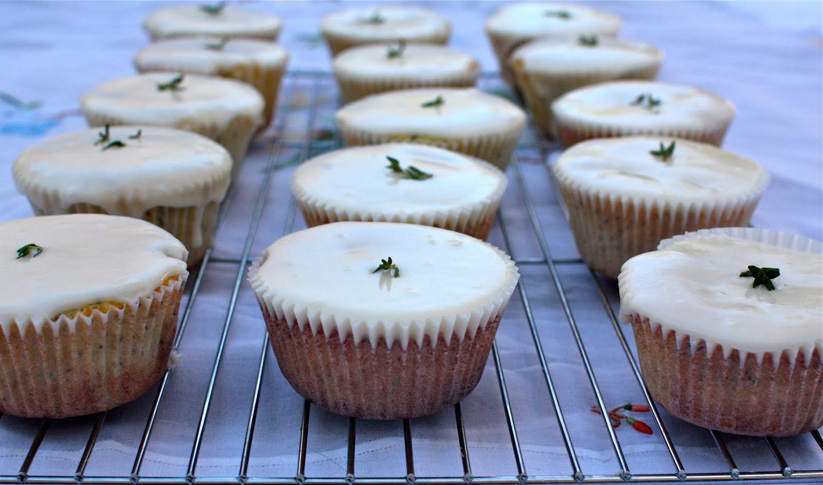 Thankful Thursday & Poppy-Seed Lemon Cupcakes