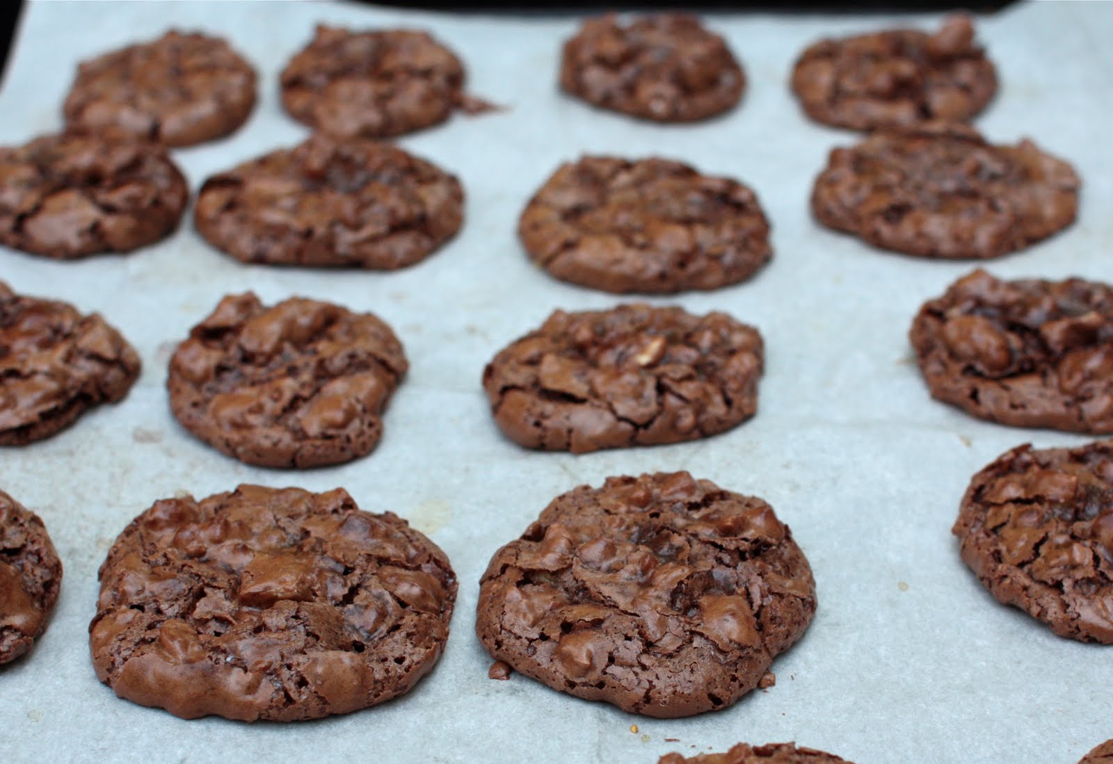 Chocolate Pecan Puddle Cookies