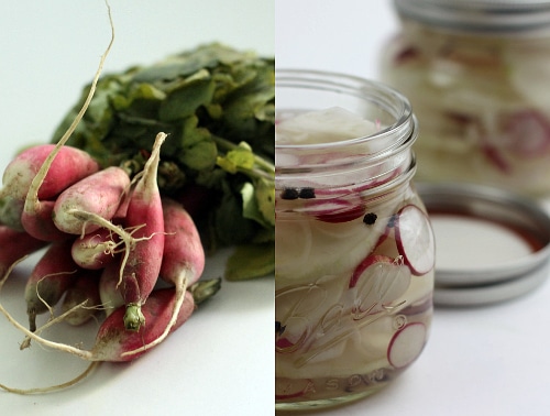 https://simplebites.net/wp-content/uploads/2010/07/radish-pickles1.jpg