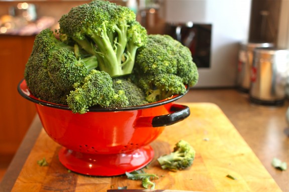 Preserving Summer: Freezing Broccoli 101