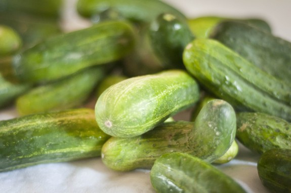 Pursuing Your Passion For Pickles (Recipe: Garlic-Dill Pickles)