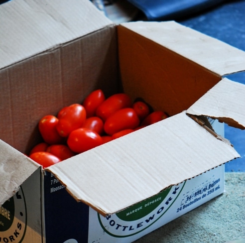 Preserving Autumn: Tomato Herb Sauce for Freezing
