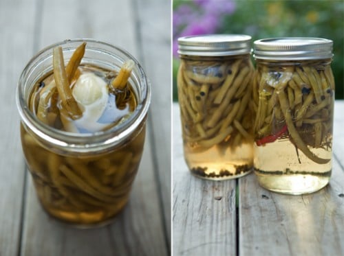 Canning 101: Pickled Green Beans