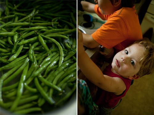 Canning 101: Tall Jars for Asparagus, Green Beans, and More – Food in Jars