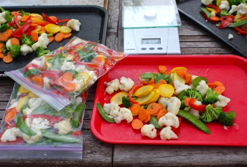 How to Make Healthy and Delicious Freezer Stir-Fry Kits