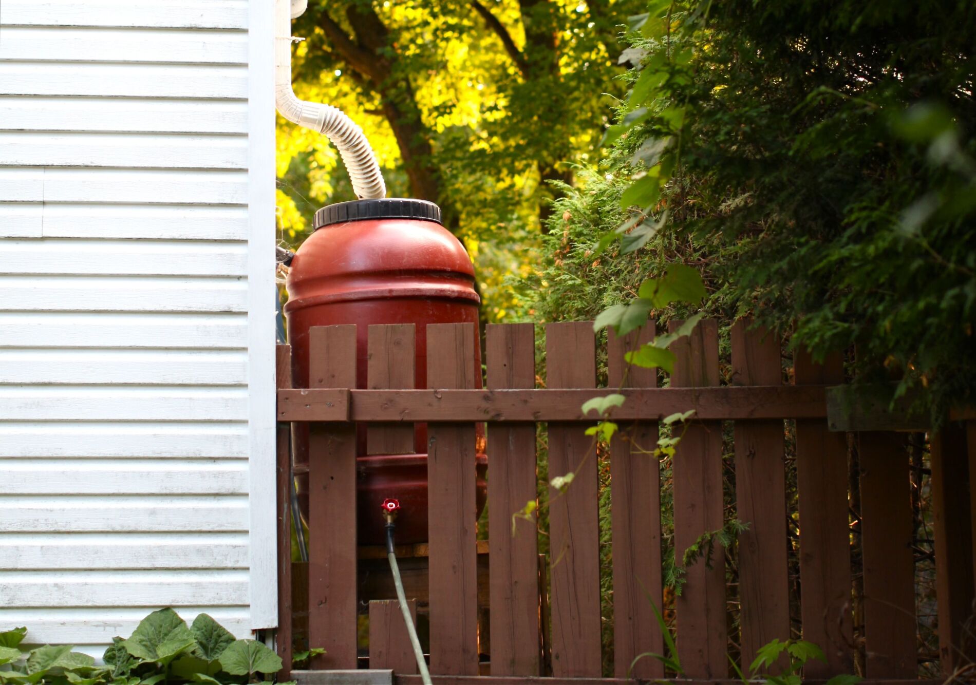 Rain Barrels: How we installed ours and other tips