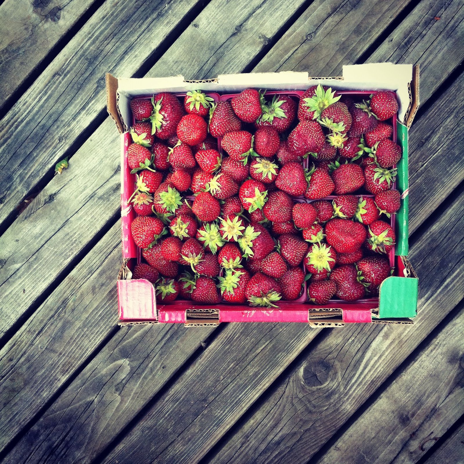 Strawberry Season Recap