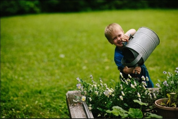 Garden, chickens and more: an urban homesteading update