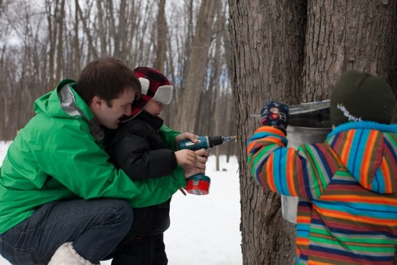 What we learned about making maple syrup