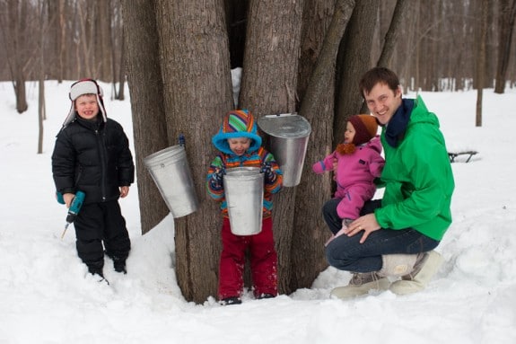 Tapping trees last spring.