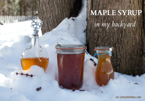 making maple syrup at home on simplebites.net