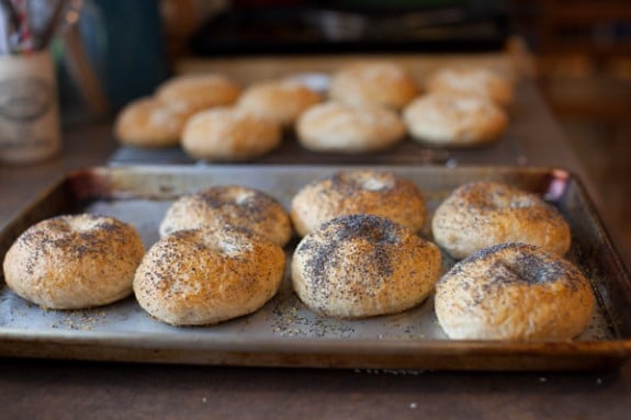 homemade honey whole wheat bagels on simplebites.net