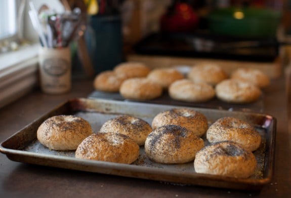 homemade honey whole wheat bagels on simplebites.net