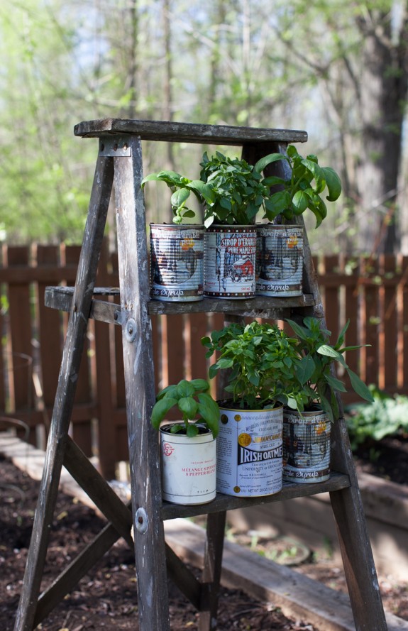 recycled tin cans for potted herbs