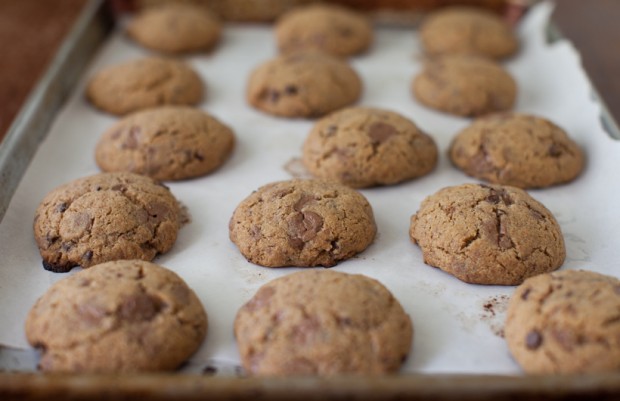 Honey whole-wheat chocolate chunk cookies on simplebites.net #cookies #chocolate