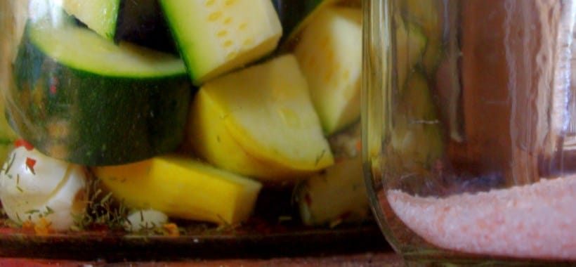 Lacto-Fermented Pickles Header