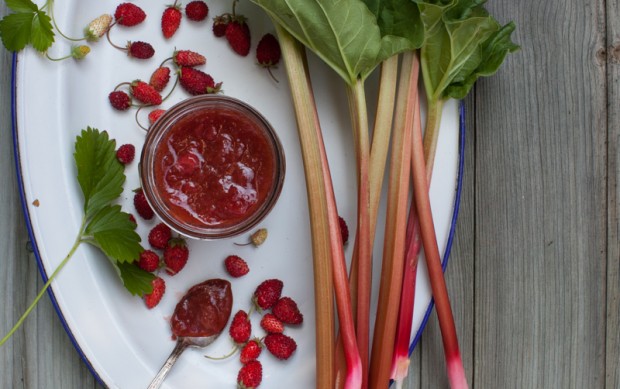 Canning Rhubarb Jelly - Creative Homemaking