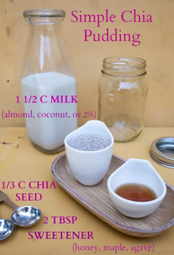 Coconut Chia Pudding- Just 3 Ingredients! - The Big Man's World ®