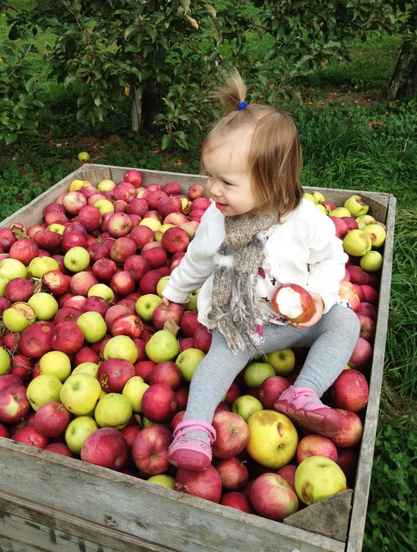 clara apple picking
