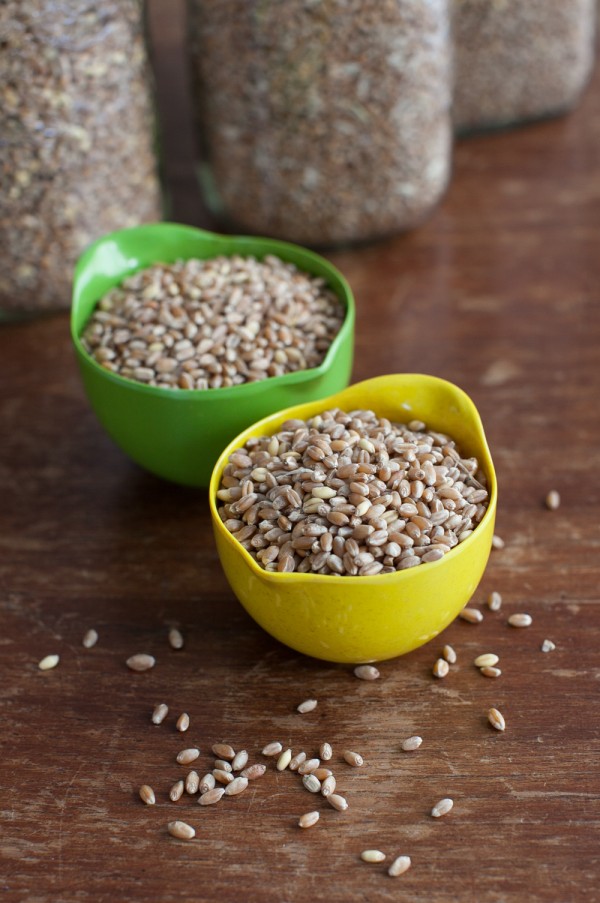 Grinding grains for flour | Simple Bites #DIY #realfood