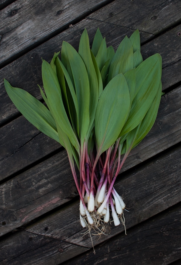 Spring produce and Cheesy Ramp Pull-Apart Bread