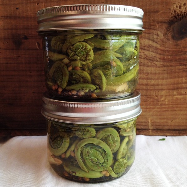 Pickled fiddleheads in jars | Simple Bites #pickles #fiddleheads #spring #recipe