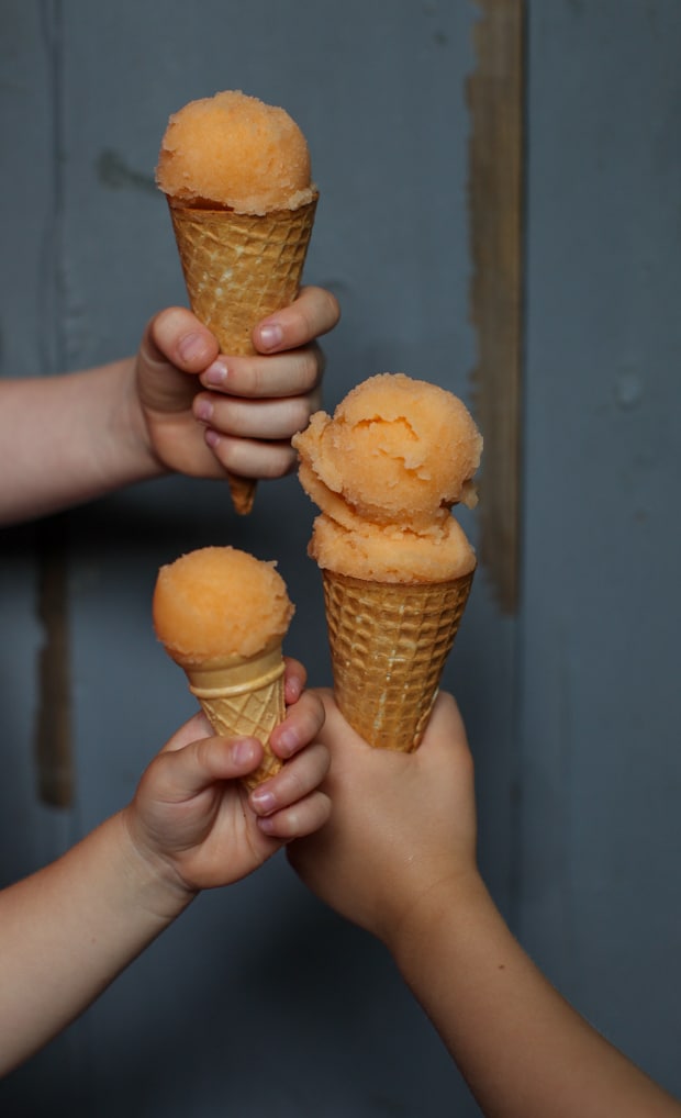 Cantaloupe Honey Sorbet | Simple Bites