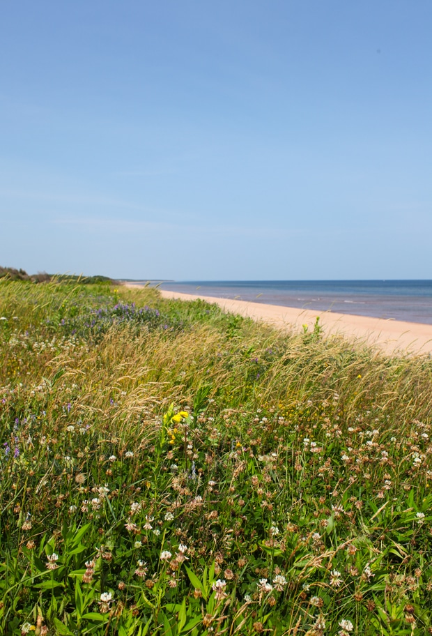 Family Travel in Prince Edward Island | Simple Bites