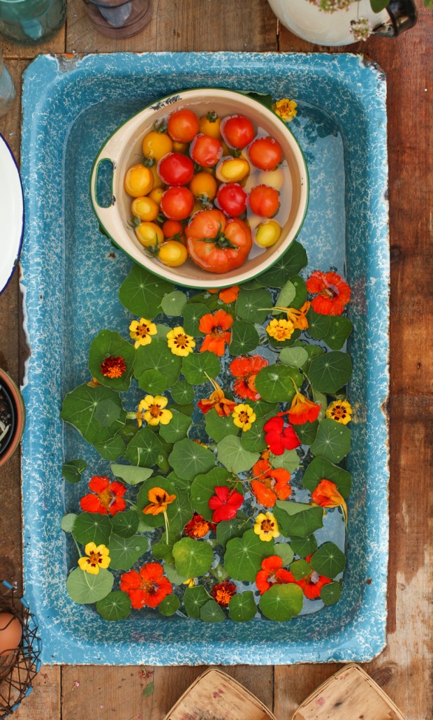 Tomato Nasturtium Salad with Dates and Pistachios | Simple Bites #recipe #salad #vegetarian #vegan