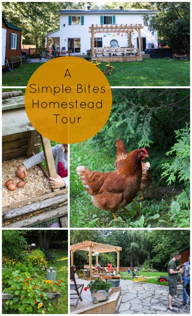 A Simple Bites urban homestead tour | Simple Bites #urbanhomestead #diy #homesteading