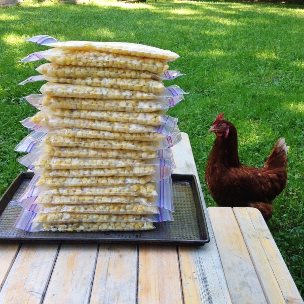 corn stack