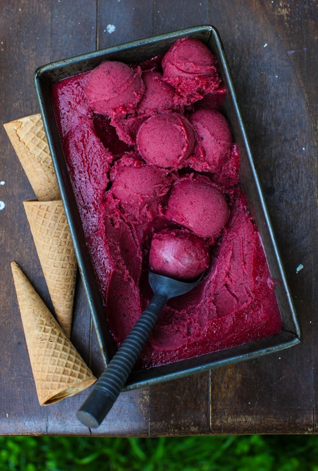 Muscavado Blueberry Plum Sorbet | Simple Bites #recipe #dessert