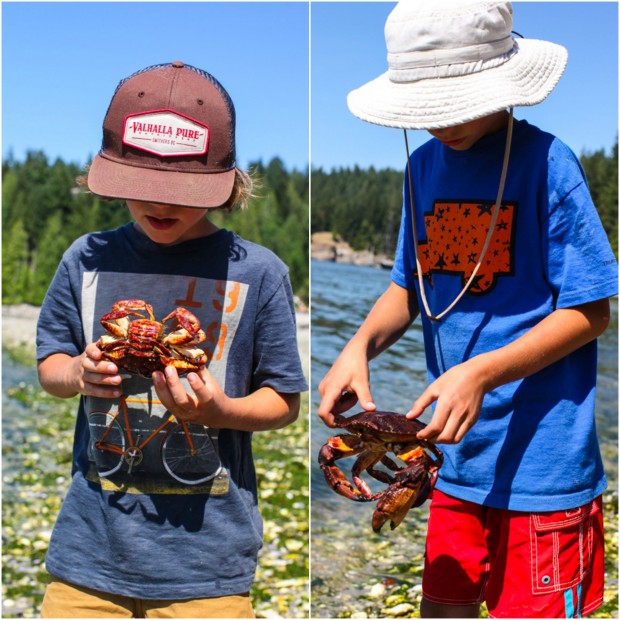 Catching crabs on Cortes Island, BC || Simple Bites