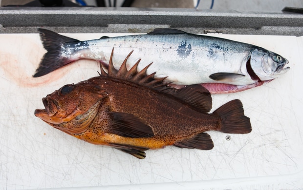 Fresh-caught fish on Cortes Island || Simple Bites