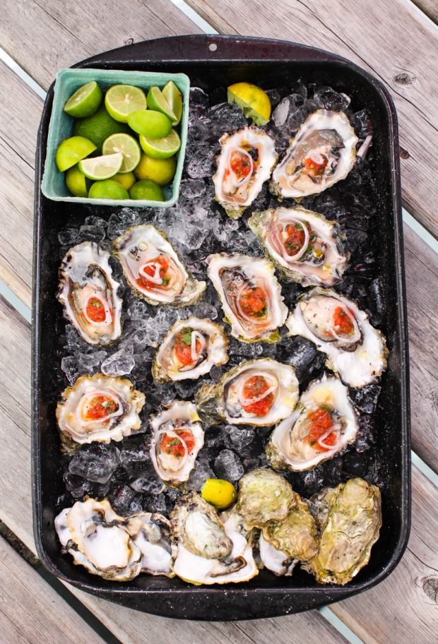 Fresh oysters on the half shell || Simple Bites
