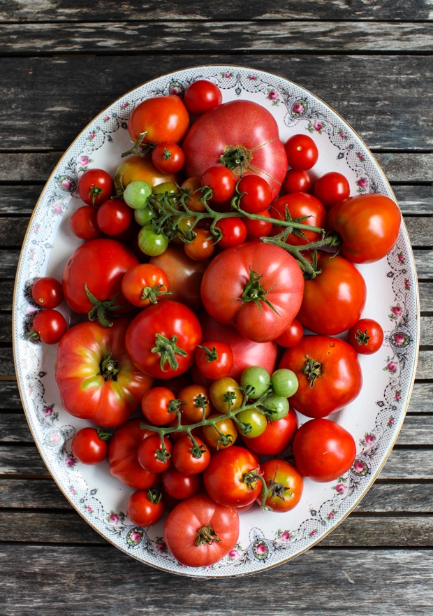 september tomatoes