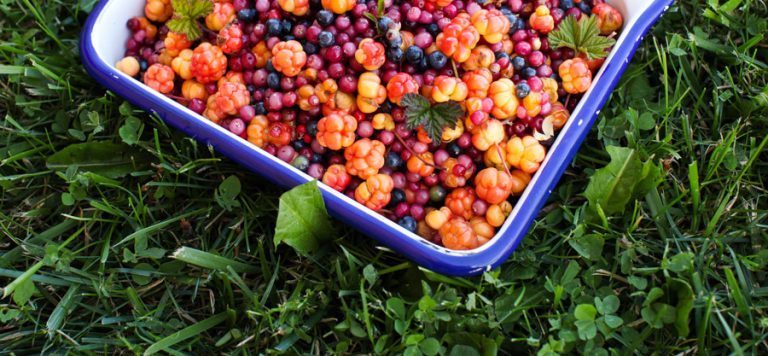 Unique Canadian Culinary Experiences