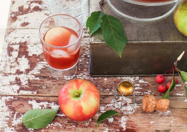 Sparkling Apple Cider Punch — Let's Dish Recipes