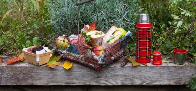 Five reasons to plan a fall picnic