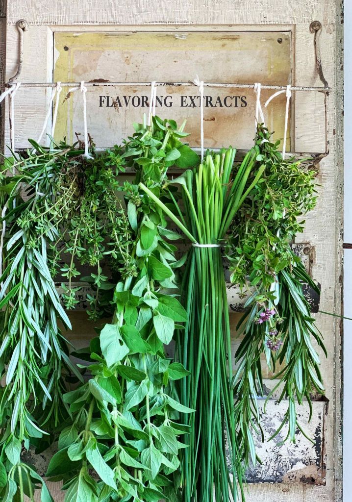 How to Use and Preserve Summer Herbs Simple Bites